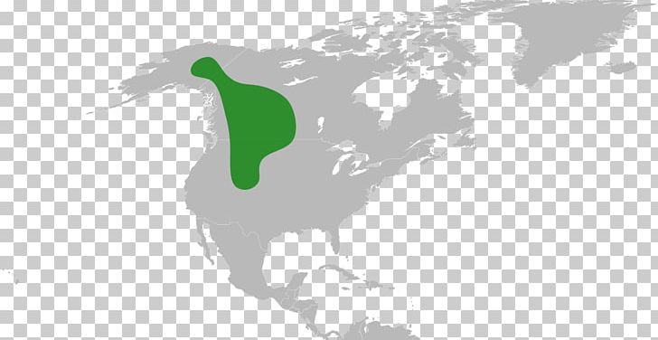 United States Map PNG, Clipart, Americas, Grass, Horse Like Mammal, Magnoliopsida, Map Free PNG Download