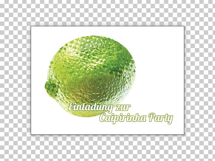 Watermelon Cucurbita PNG, Clipart, Cucumber Gourd And Melon Family, Cucurbita, Food, Fruit, Fruit Nut Free PNG Download