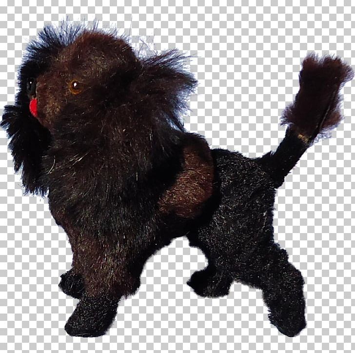 Affenpinscher Dog Breed Pet Canidae Carnivora PNG, Clipart, Affenpinscher, Animal, Breed, Canidae, Carnivora Free PNG Download