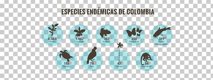 Biodiversity Of Colombia Biodiversity Of Colombia Alexander Von Humboldt Biological Resources Research Institute International Day For Biological Diversity PNG, Clipart, Body Jewelry, Colombia, Convention On Biological Diversity, Endemism, Fashion Accessory Free PNG Download