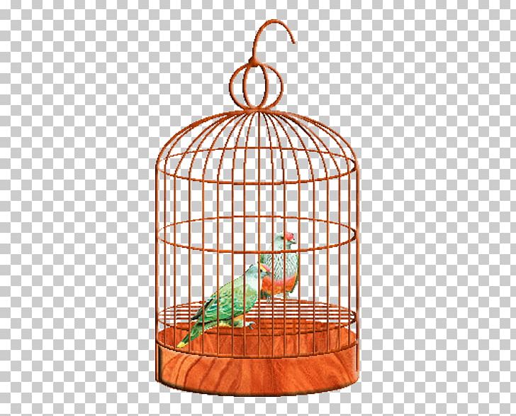 Birdcage Birdcage Parrot PNG, Clipart, Animal, Animals, Bird, Birdcage, Birds Free PNG Download