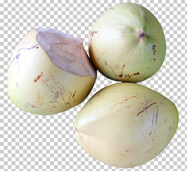 Coconut Chevrolet PNG, Clipart, Chevrolet, Coconut, Coconut Water, Computer Icons, Daikon Free PNG Download