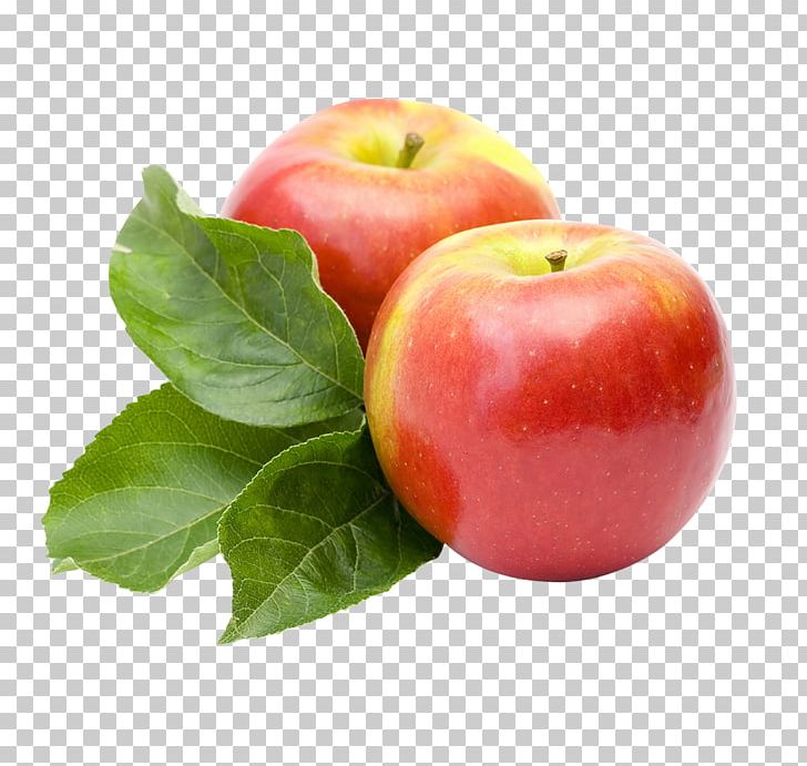 Constipation Food Eating Dietary Fiber PNG, Clipart, Abstract Pattern, Apple Fruit, Apple Logo, Decorative, Decorative Embellishment Free PNG Download