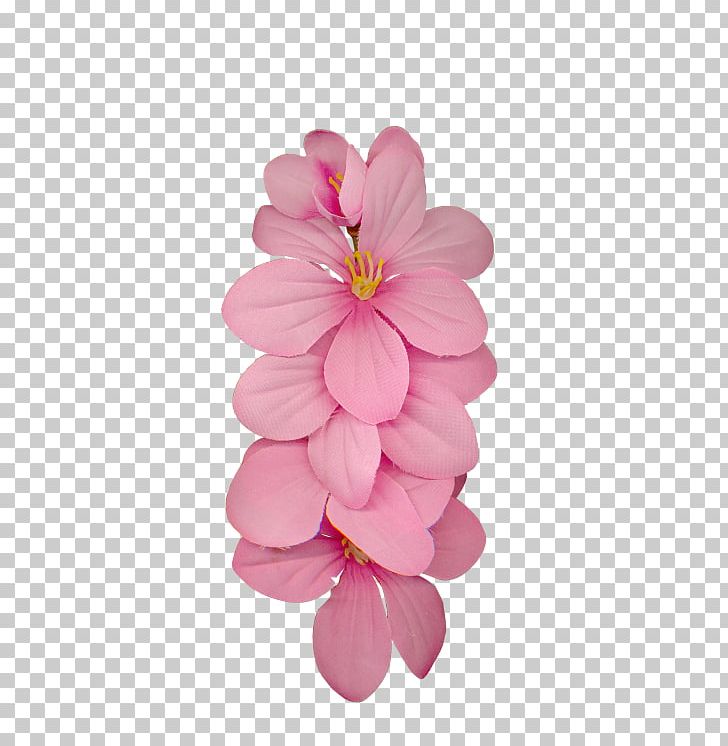 Dahlia Cut Flowers Petal Cherry Blossom PNG, Clipart, Beautiful Love, Blossom, Bundle, Cherry, Cherry Blossom Free PNG Download