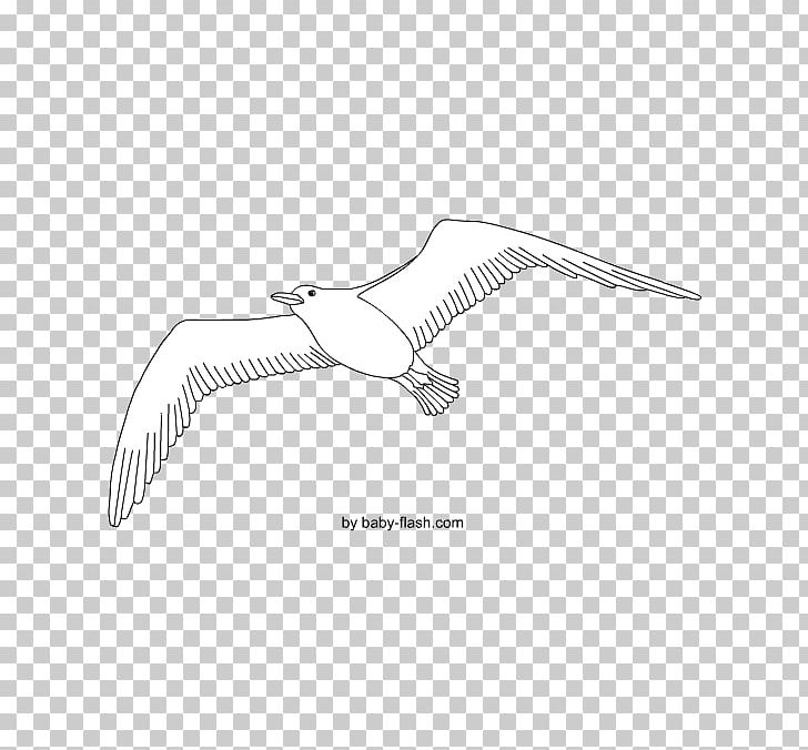 Product Design /m/02csf Drawing Line H&M PNG, Clipart, Angle, Arm, Beak, Bird, Black And White Free PNG Download