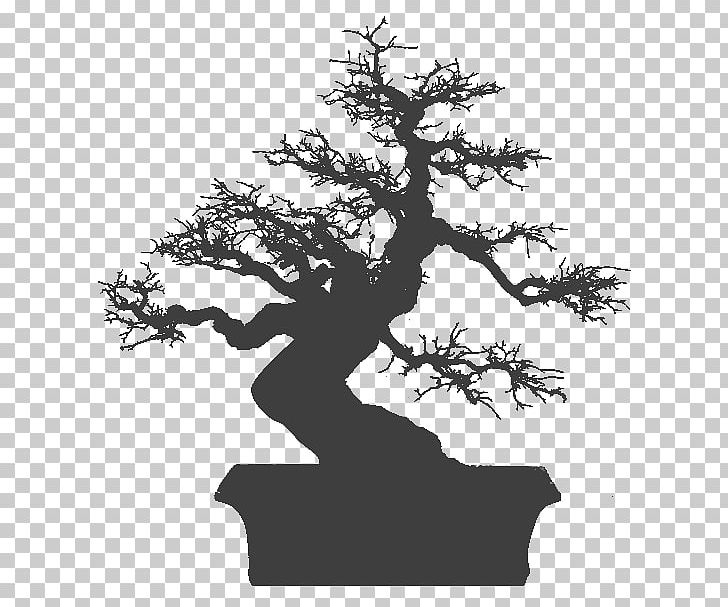 National Bonsai Foundation Apple IPhone 7 Plus IPhone 6 Plus 盆栽世界 PNG, Clipart, Apple Iphone 7 Plus, Black And White, Bonsai, Bonsai Styles, Branch Free PNG Download