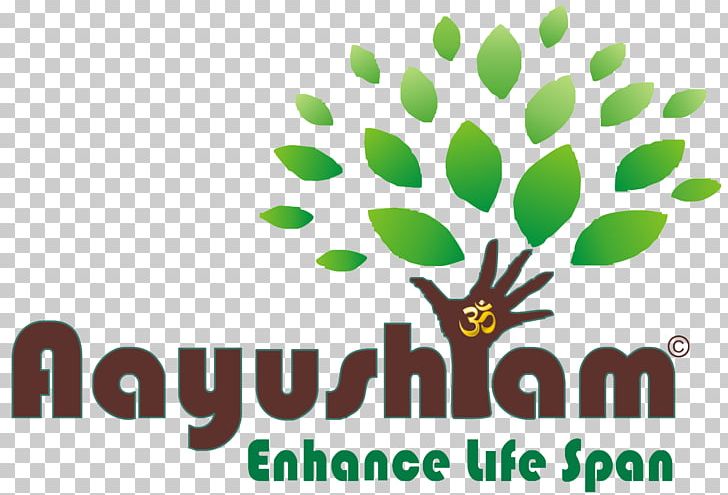 Logo Ayurveda Panchakarma Brand PNG, Clipart, Ayurveda, Branch, Brand, Description, Grass Free PNG Download