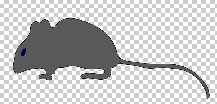 Rat Mouse Silhouette PNG, Clipart, Animals, Animals Clipart, Black, Black And White, Carnivoran Free PNG Download