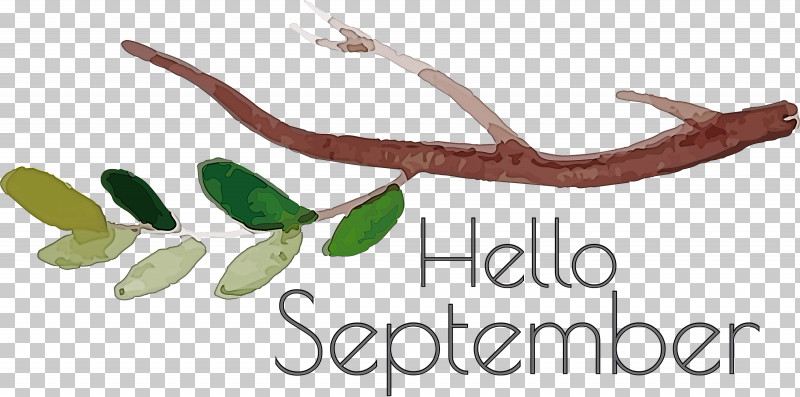 Hello September September PNG, Clipart, Biology, Branching, Geometry, Hello September, Line Free PNG Download
