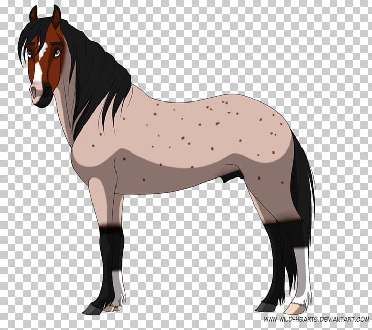 Mustang Stallion Mare Pony Mane PNG, Clipart, Bridle, Cartoon, Deviantart, Drawing, Horse Free PNG Download