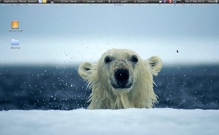 Polar Bears International Kermode Bear Pizzly PNG, Clipart, Animal, Animals, Arctic, Bear, Carnivoran Free PNG Download