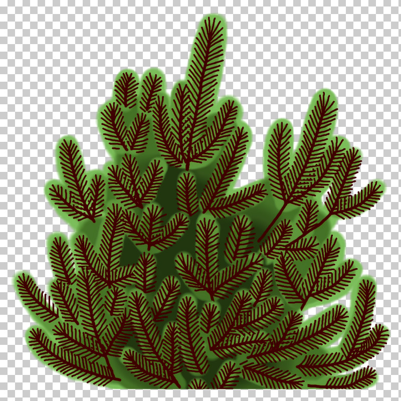 Cactus PNG, Clipart, Biology, Biome, Cactus, Ecology, Evergreen Free PNG Download