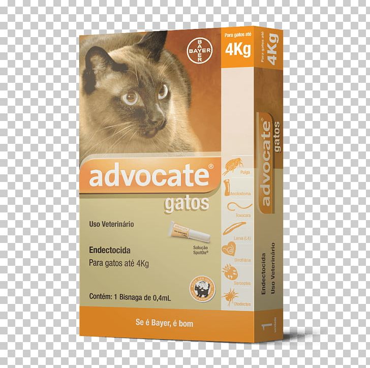 Cat Dog Pet Shop Pet Food PNG, Clipart, Advocate, Animal, Animals, Cat, Cat Like Mammal Free PNG Download