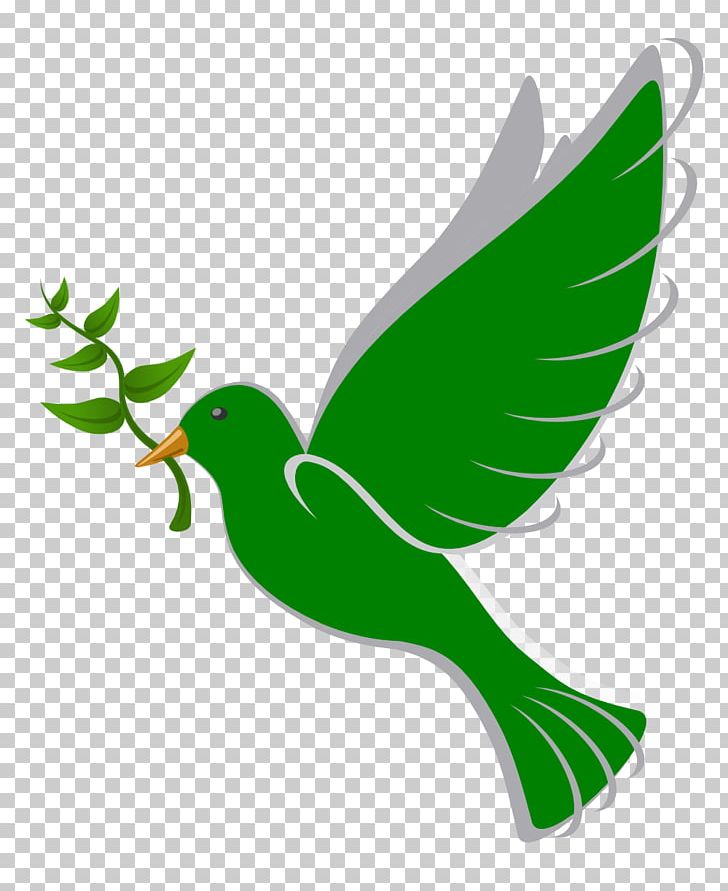 Columbidae Bird Peace Doves As Symbols PNG, Clipart, Baptism, Beak, Bird, Branch, Clip Art Free PNG Download