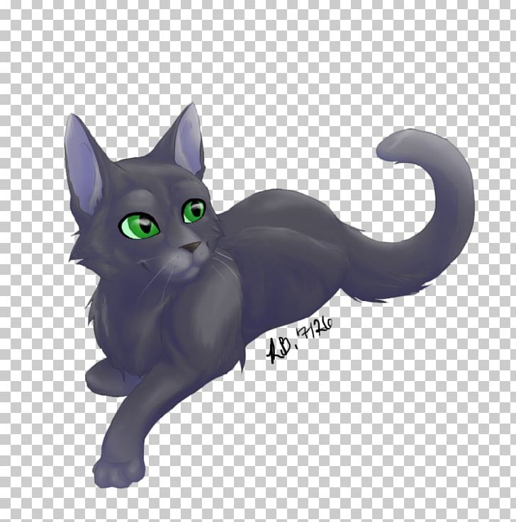 Korat American Wirehair Kitten Domestic Short-haired Cat Whiskers PNG, Clipart, American Wirehair, Animals, Asia, Asian, Black Cat Free PNG Download