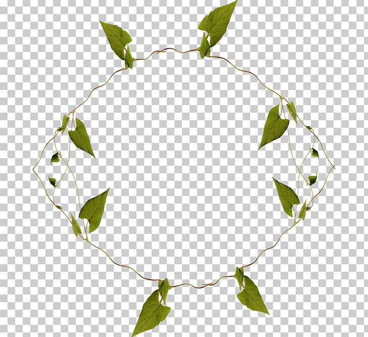 Maple Leaf Annulus PNG, Clipart, Annulus, Autumn Leaves, Banana Leaves, Branch, Circle Free PNG Download