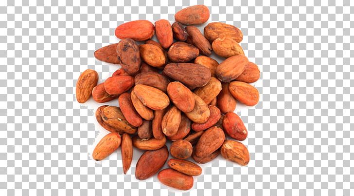 Nut Cocoa Bean Theobroma Cacao Cocoa Solids Food PNG, Clipart, Antioxidant, Bean, Cocoa Bean, Cocoa Solids, Commodity Free PNG Download