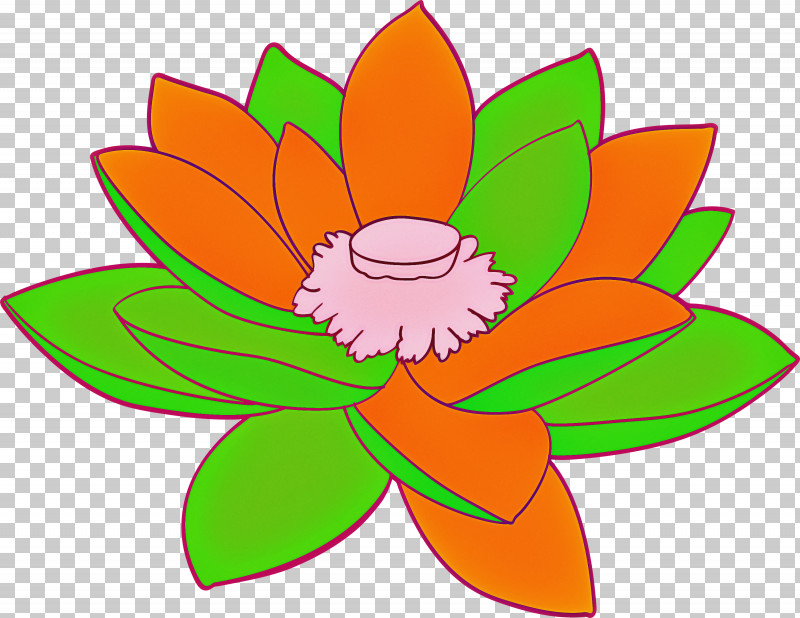 Lotus Flower PNG, Clipart, Cut Flowers, Flower, Leaf, Lotus, Orange Free PNG Download