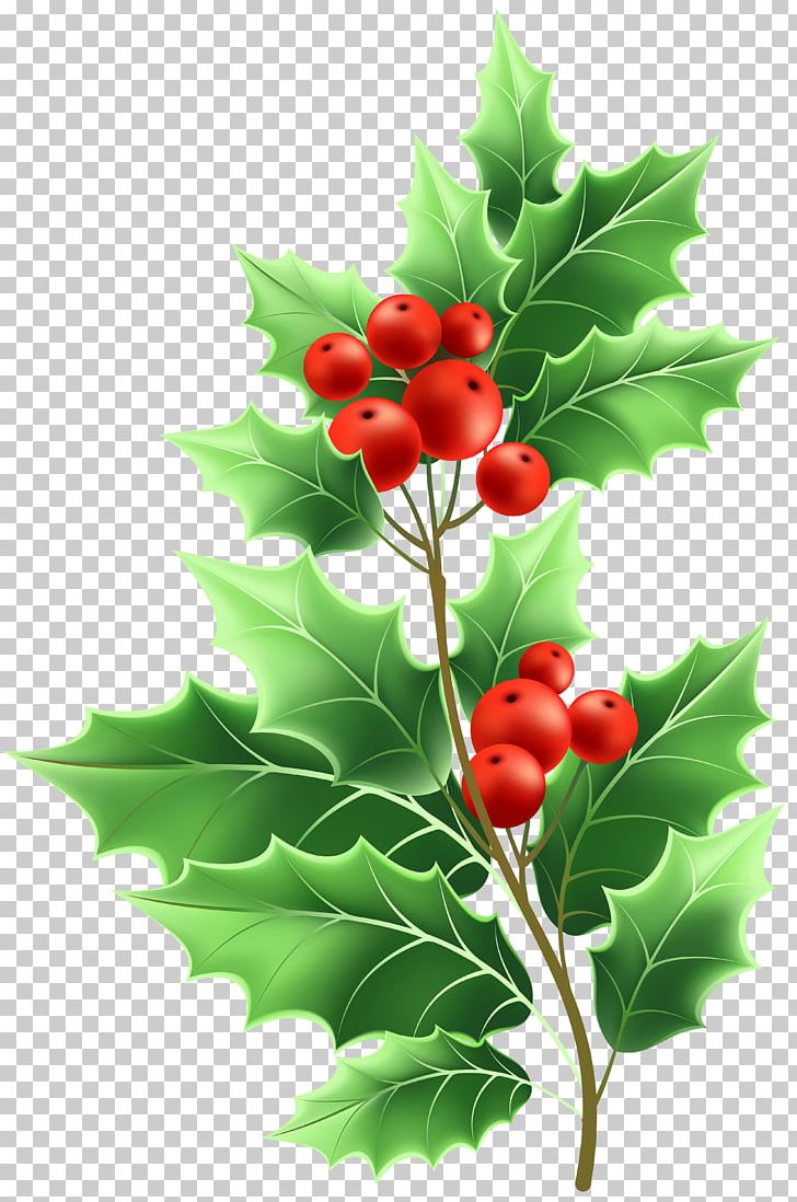 File Formats Lossless Compression PNG, Clipart, Aquifoliaceae, Aquifoliales, Branch, Christmas Clipart, Christmas Mistletoe Free PNG Download