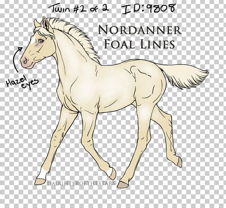 Foal Mustang Pony Stallion Mane PNG, Clipart, Animal Figure, Bridle, Colt, Fauna, Fictional Character Free PNG Download