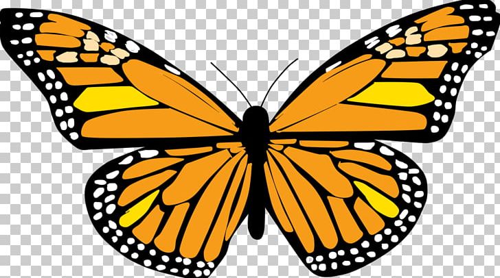 Monarch Butterfly Funeral Home PNG, Clipart, Arthropod, Biological Life Cycle, Bla, Brush Footed Butterfly, Funeral Free PNG Download