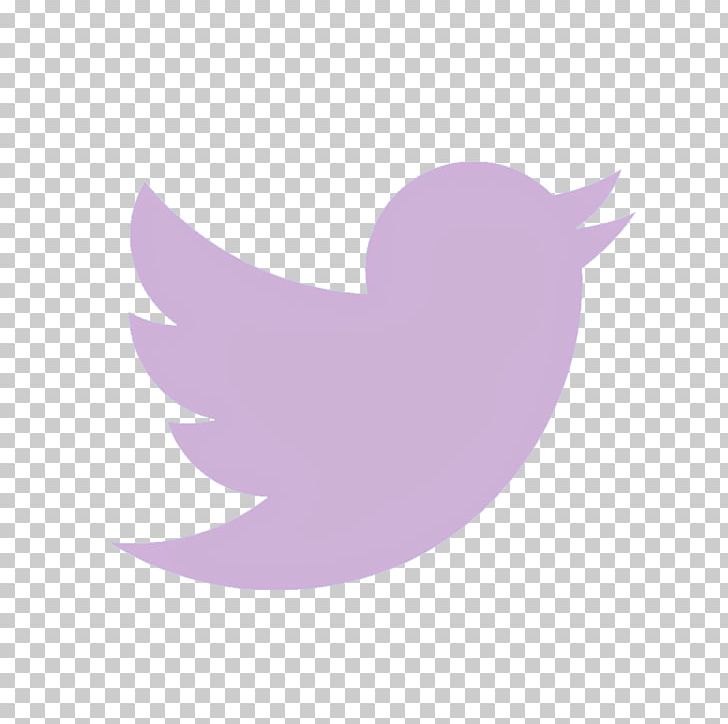 Social Media Marketing Logo YouTube Isotype PNG, Clipart, Advertising, Banner, Beak, Bird, Brand Free PNG Download