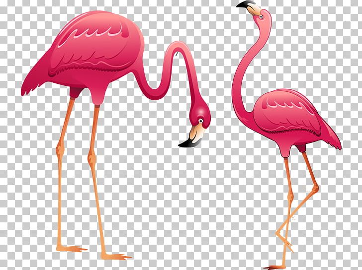 Flamingo PNG, Clipart, Animals, Animals Cartoon, Art, Beak, Bird Free PNG Download