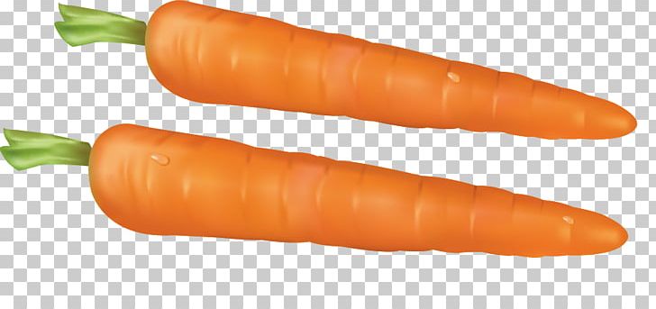 Baby Carrot Vecteur Lxe9gume Vert Drawing PNG, Clipart, Carro, Cervelat, Daucus Carota, Designer, Drawing Free PNG Download