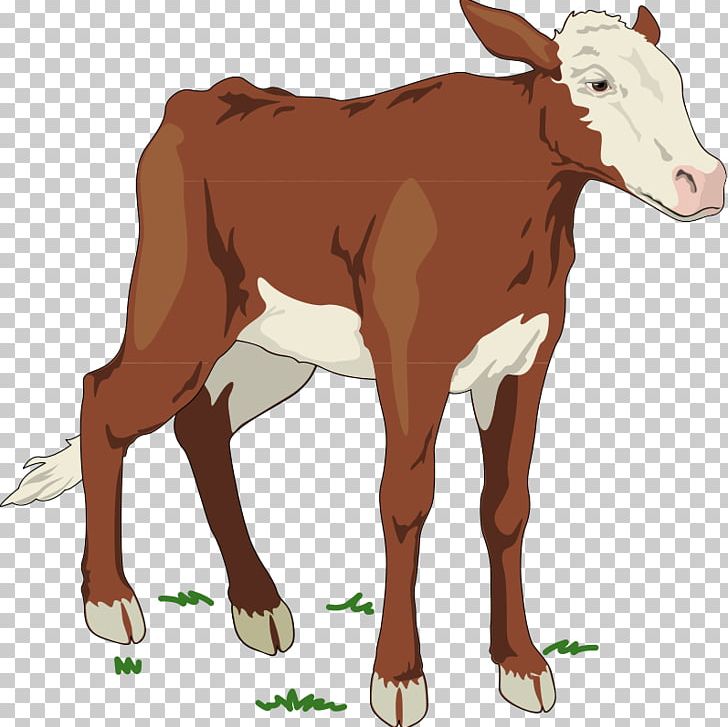 Beef Cattle Calf Sheep Livestock PNG, Clipart, Beef Cattle, Bull, Calf, Cattle, Cattle Like Mammal Free PNG Download