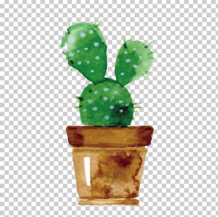 Cactaceae Watercolor Painting Drawing Succulent Plant PNG, Clipart, Art, Barbary Fig, Cactus, Cactus Vector, Color Free PNG Download