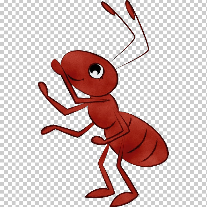 Insects Decapods Cartoon Pest Red PNG, Clipart, Cartoon, Decapods, Insects, Joint, Line Free PNG Download