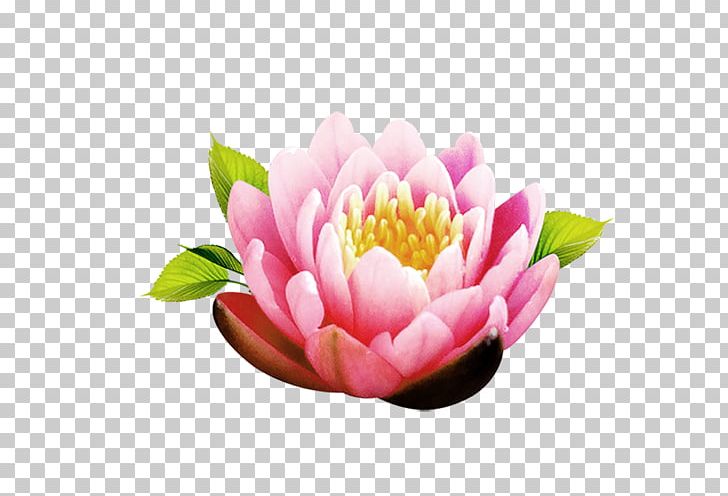 Flower Icon PNG, Clipart, Bud, Download, Dragon, Dragon Boat Festival, Element Free PNG Download