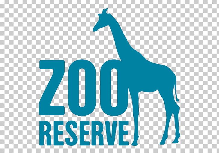 Giraffe Logo Zoo Animal PNG, Clipart, Animal, Animals, Area, Blue, Brand Free PNG Download