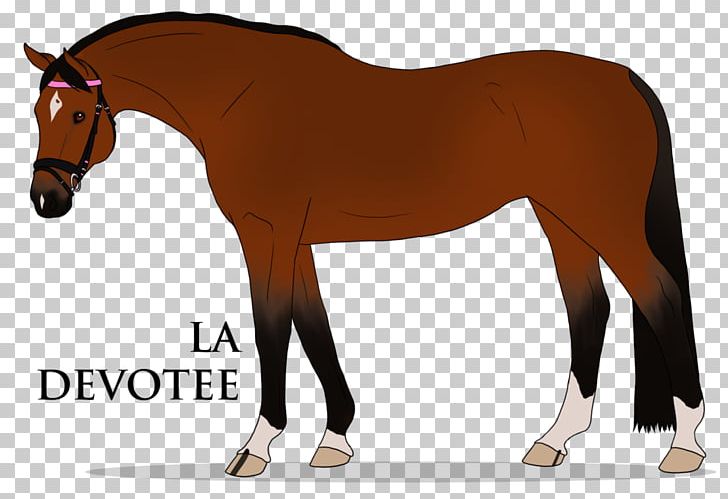 Mane Stallion Foal Pony Mustang PNG, Clipart, Bridle, Colt, English Riding, Equestrian Sport, Foal Free PNG Download