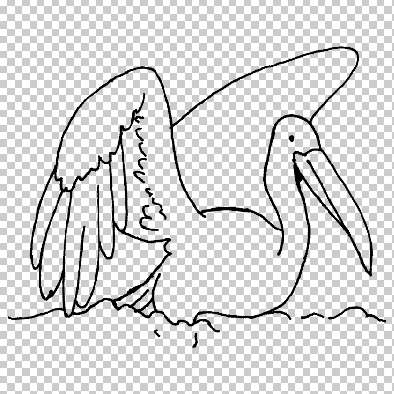 Beak Pelecaniformes /m/02csf Birds Line Art PNG, Clipart, Area, Beak, Birds, Cartoon, Drawing Free PNG Download