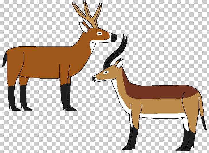 Antelope Ungulate Musk Deer Reindeer Elk PNG, Clipart, Animal, Antelope, Antler, Art, Cartoon Free PNG Download