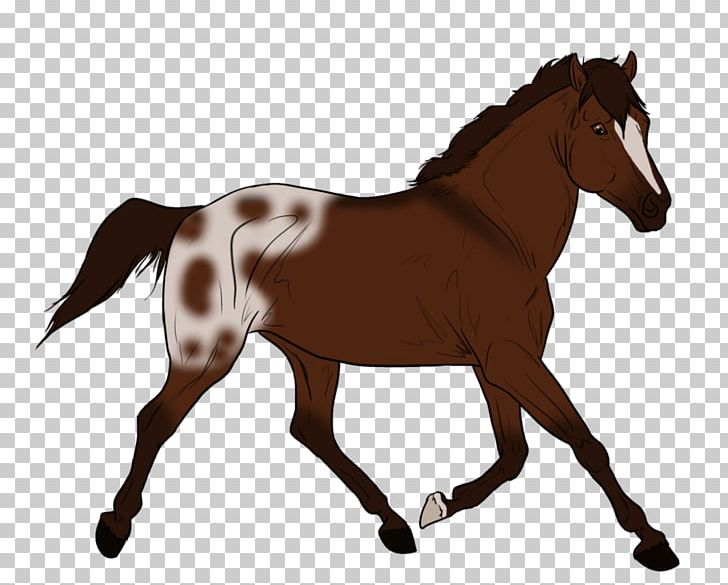 Horse Wall Decal Mane Colt Mare PNG, Clipart, Animals, Bridle, Colt, English Riding, Equestrian Sport Free PNG Download