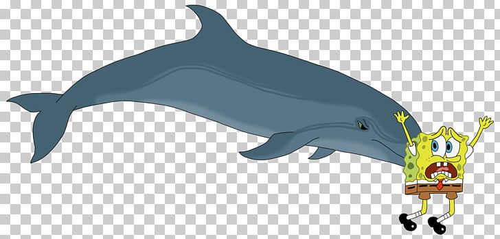 Common Bottlenose Dolphin The Bottlenose Dolphin Southern Right Whale Dolphin PNG, Clipart, Amazon River Dolphin, Animals, Bottlenose Dolphin, Cetacea, Fauna Free PNG Download