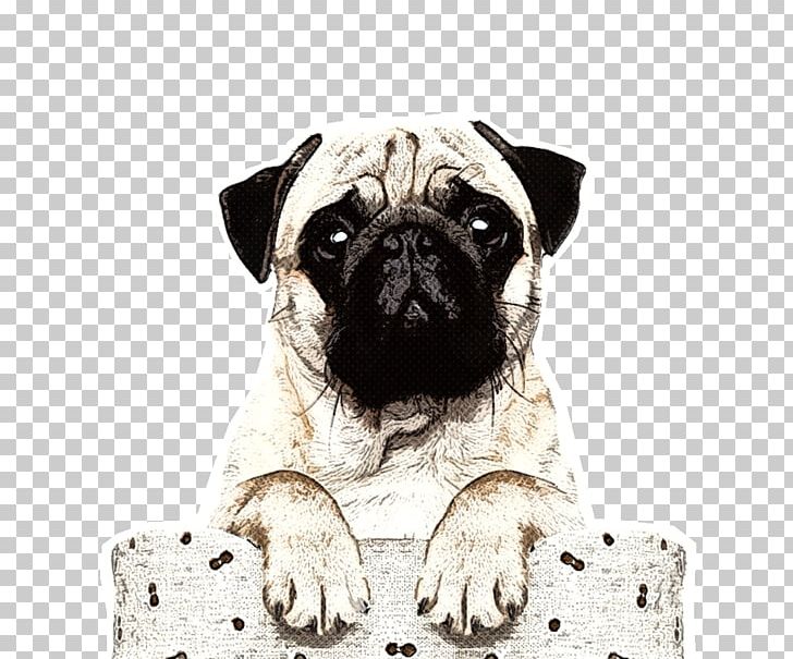 Pug Puppy Boxer Verjaardagskalender Stock Photography PNG, Clipart, Animal, Animals, Bluza, Boxer, Calendar Free PNG Download
