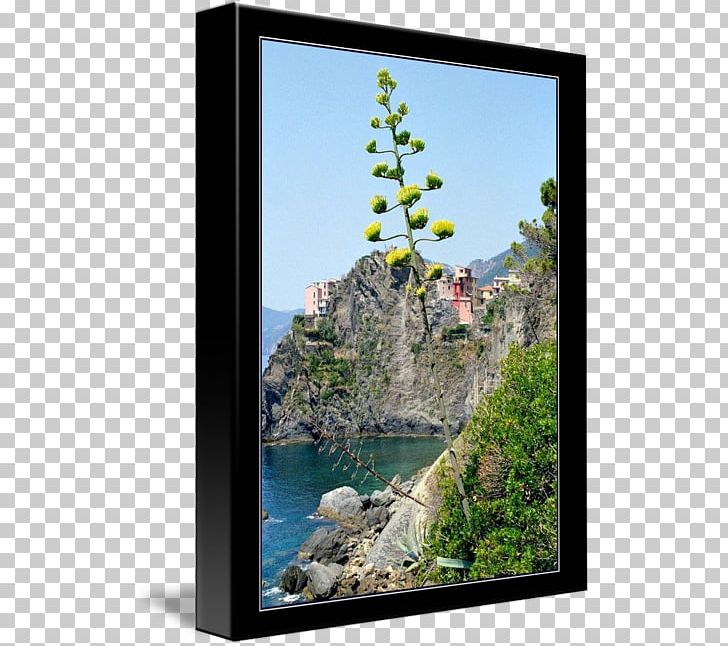 Frames Tree Sky Plc PNG, Clipart, Cinque Terre, Flora, Flower, Picture Frame, Picture Frames Free PNG Download