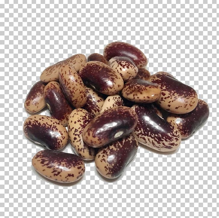 Holland Heirloom Beans Organic Food Heirloom Plant PNG, Clipart, Bean, Beans, Commodity, Farm, Heirloom Beans Free PNG Download