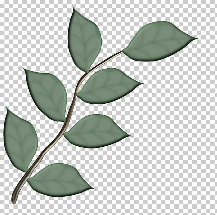 Leaf I Confini Dell'anima Branch Plant Stem PNG, Clipart,  Free PNG Download