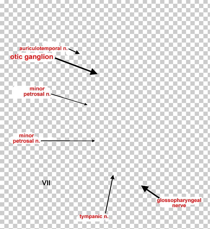 Otic Ganglion Submandibular Ganglion Drawing Nerve PNG, Clipart, Angle, Area, Diagram, Dog, Drawing Free PNG Download