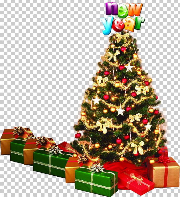 Christmas Tree Santa Claus Christmas Ornament Fir PNG, Clipart, Christmas And Holiday Season, Christmas Decoration, Christmas Frame, Christmas Lights, Christmas Ornament Free PNG Download