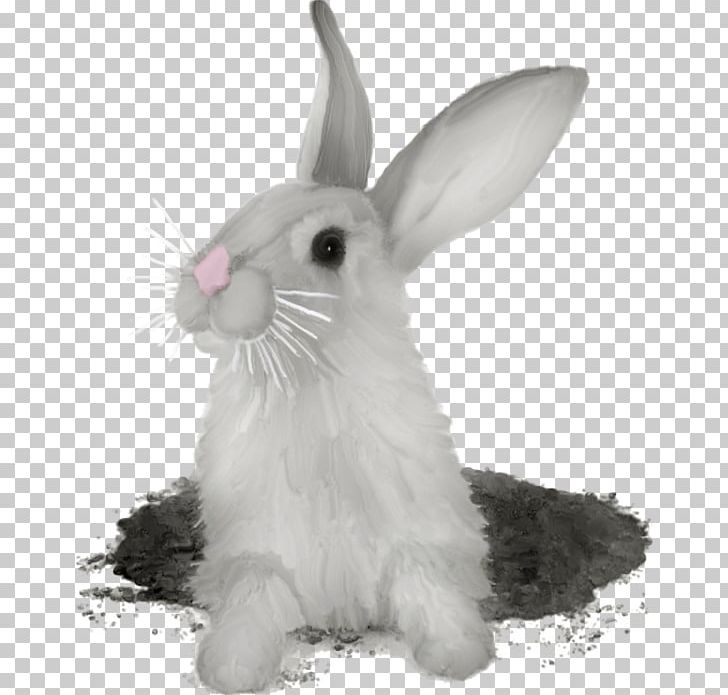 Hare Domestic Rabbit Rex Rabbit PNG, Clipart, Animal, Animals, Animation, Black And White, Burrow Free PNG Download