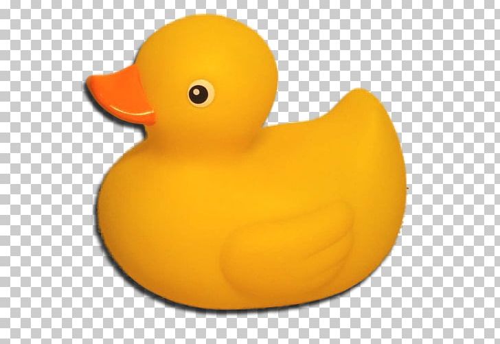 Rubber Duck Computer Icons PNG, Clipart, Agile Software Development, Animals, Beak, Bird, Computer Icons Free PNG Download