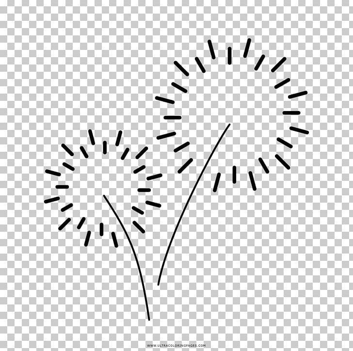 Drawing Fireworks Black And White PNG, Clipart, Bla, Black, Branch, Circle, Color Free PNG Download