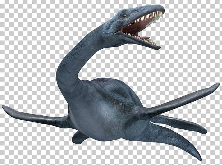 Elasmosaurus Plesiosauria Liopleurodon Styxosaurus Late Cretaceous PNG, Clipart, Cretaceous, Dinosaur, Elasmosauridae, Elasmosaurus, Fantasy Free PNG Download