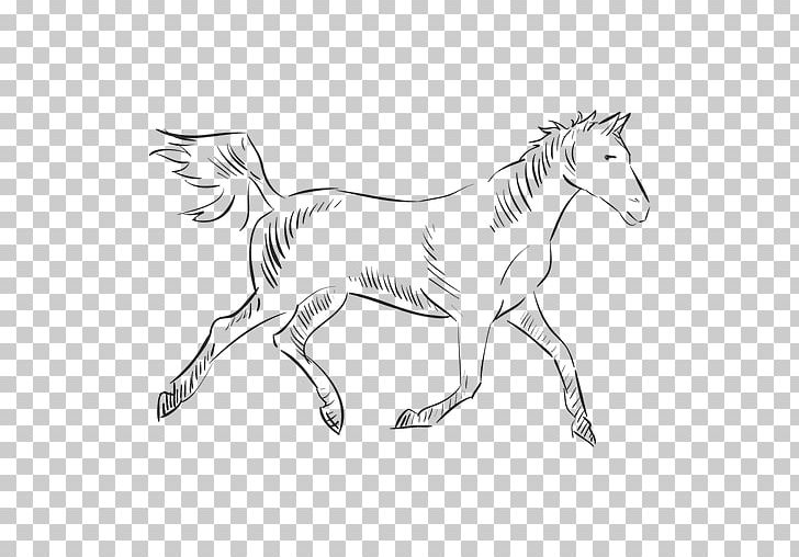 Mane Mustang Pony Colt PNG, Clipart, Animal Figure, Artwork, Black And White, Colt, Drawing Free PNG Download
