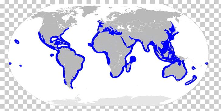 World Map Globe Shark PNG, Clipart, Area, Blue, Cetacea, Circle, Country Free PNG Download